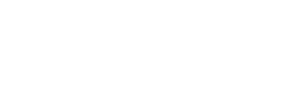 Логотип — білий (PNG)