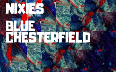 Nixies + Blue Chesterfield
